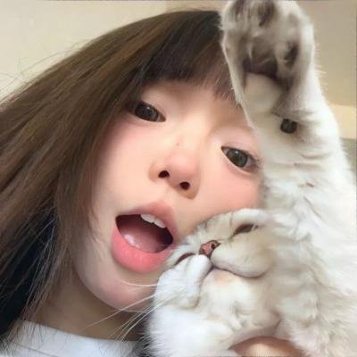 直言真相第一季